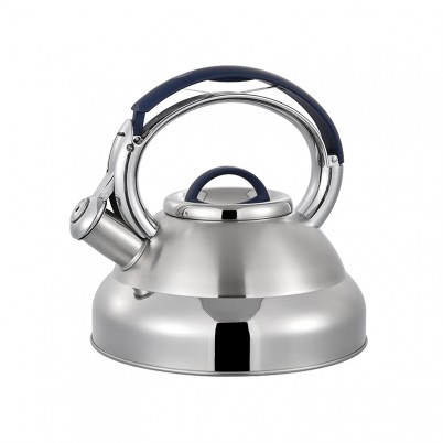 ZH-K009 Stainless Steel Kettle