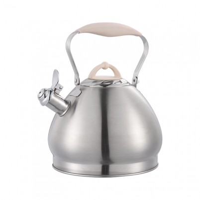 ZH-K019 Stainless Steel Kettle