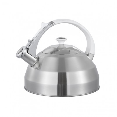 ZH-K010 Stainless Steel Kettle