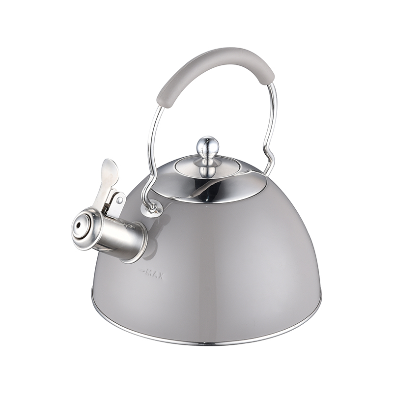 ZH-K021 Stainless Steel Kettle